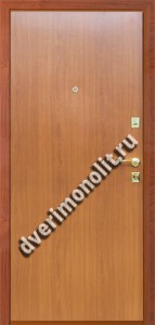 Входная металлическая дверь в квартиру. Модель 596-07 Входная металлическая дверь в квартиру. Модель 596-07