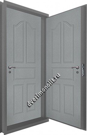 Входная металлическая двойная дверь 12-069