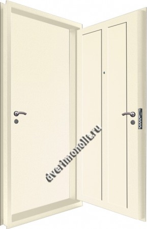 Входная металлическая двойная дверь 12-119