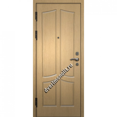 Входная металлическая дверь. Модель 250-01