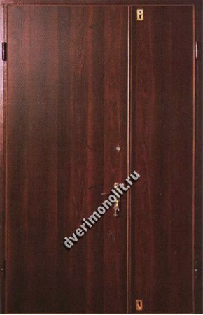 Нестандартная входная металлическая дверь - 404-03