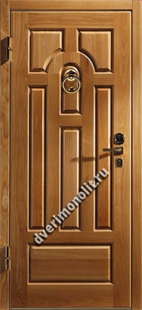Утепленная входная металлическая дверь. Модель 50-01