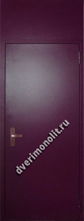 Нестандартная дверь. Модель 003-009